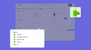 List of payment methods available on OMG online stores on purple background